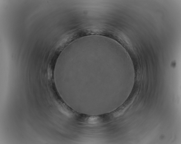 X0000091560173200708171333