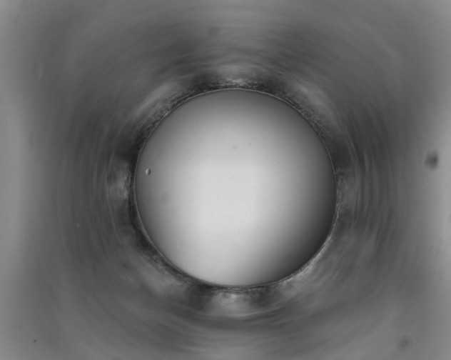 X0000091560174200708171333