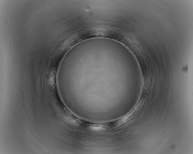 X0000091560175200708171333