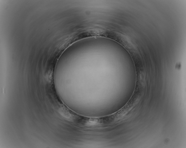 X0000091560177200708171333