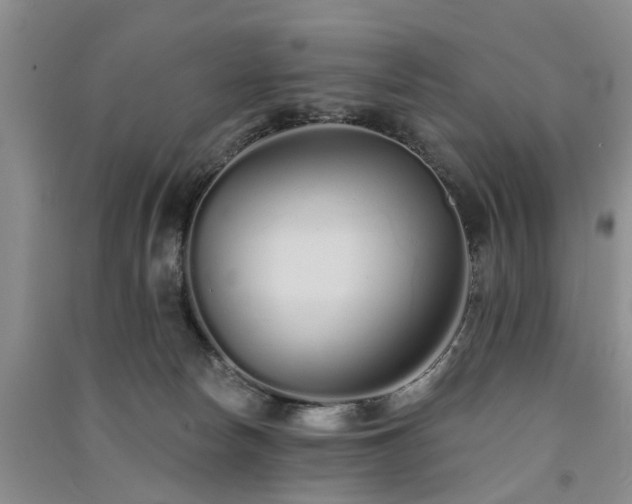 X0000091560178200708171333