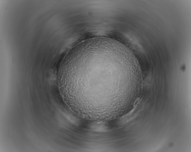 X0000091560179200708171333