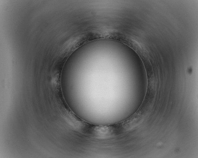 X0000091560181200708171333