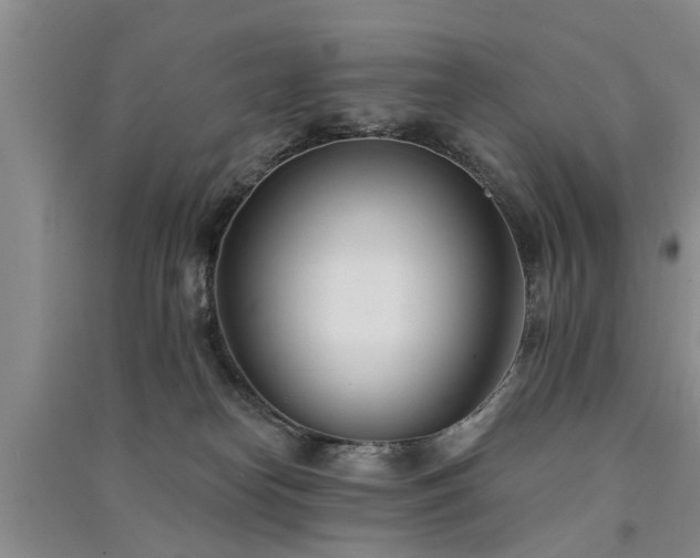 X0000091560182200708171333