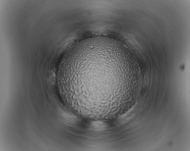 X0000091560183200708171333