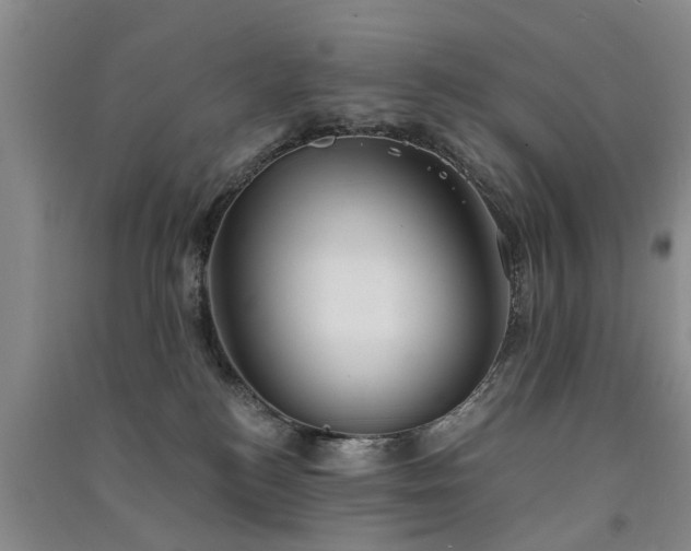 X0000091560184200708171333