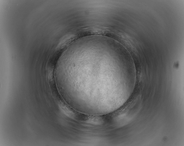 X0000091560185200708171333