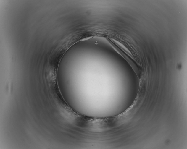 X0000091560186200708171333