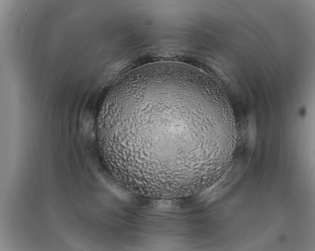 X0000091560187200708171333