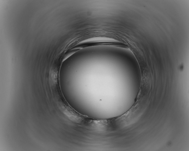 X0000091560188200708171333