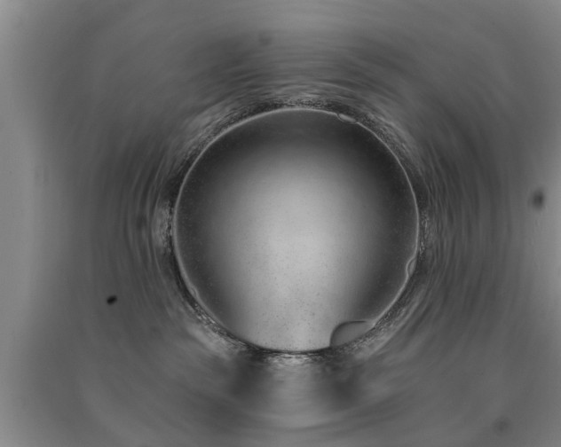 X0000091560189200708171333