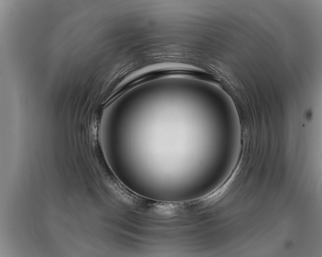 X0000091560190200708171333