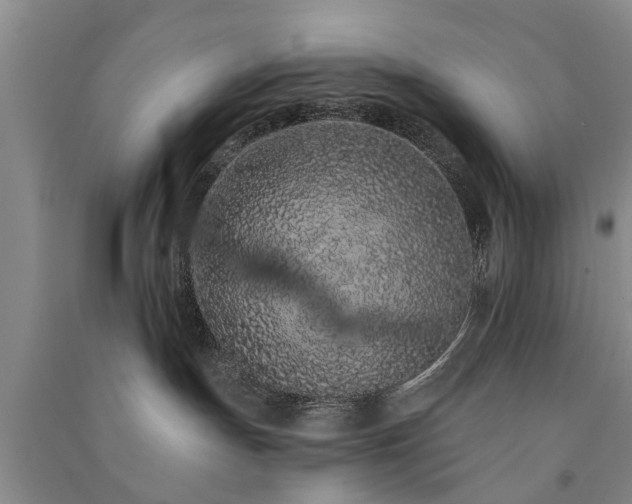 X0000091560191200708171333