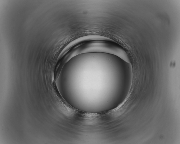 X0000091560192200708171333