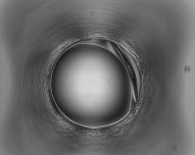 X0000091560193200708171332