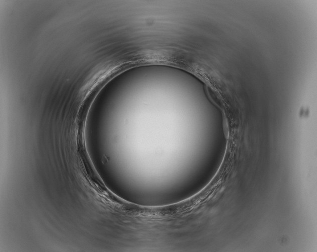 X0000091560194200708171332