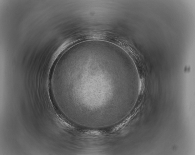 X0000091560195200708171332