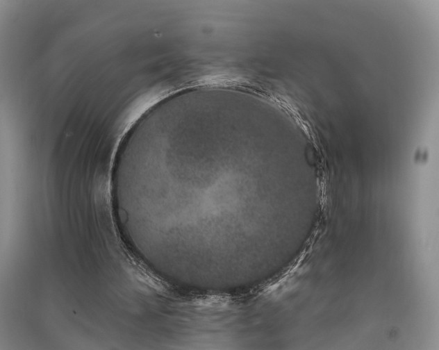 X0000091560196200708171332