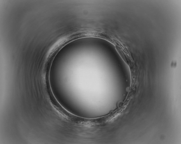 X0000091560197200708171332