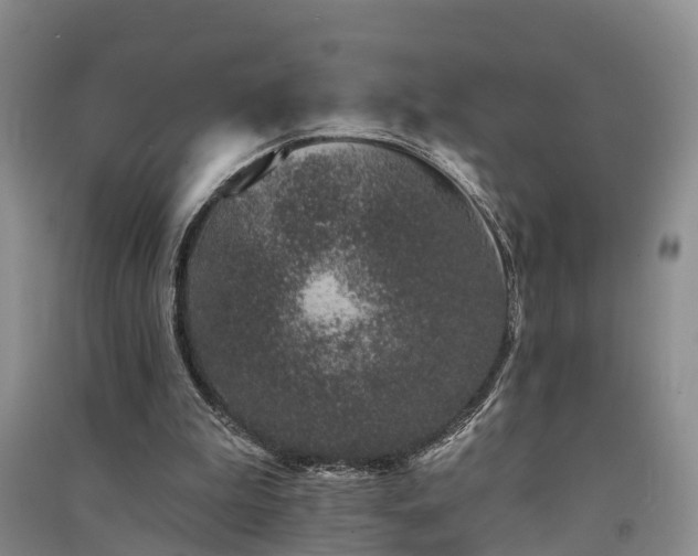 X0000091560199200708171332