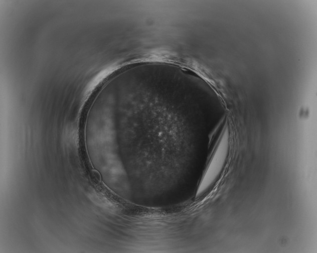 X0000091560200200708171332