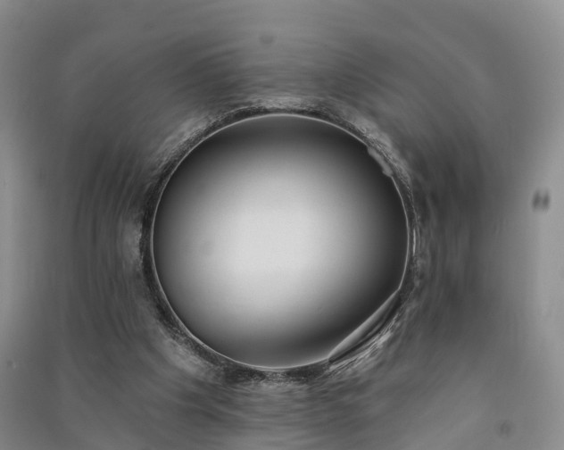 X0000091560201200708171332