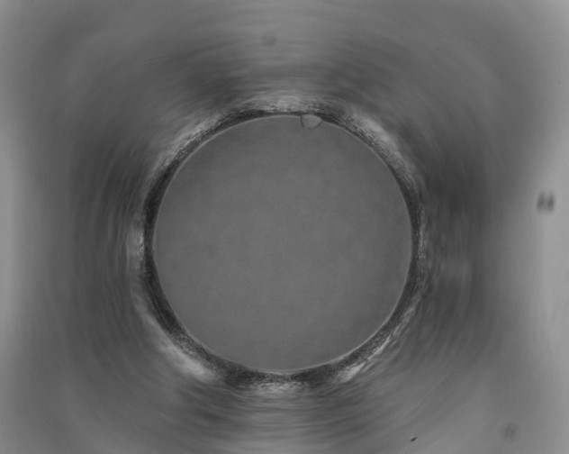 X0000091560202200708171332