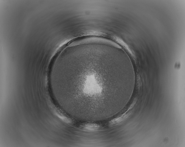 X0000091560203200708171332