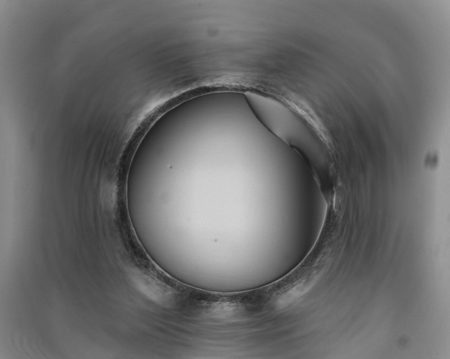 X0000091560204200708171332