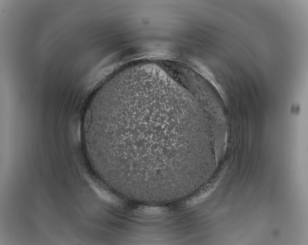 X0000091560205200708171332