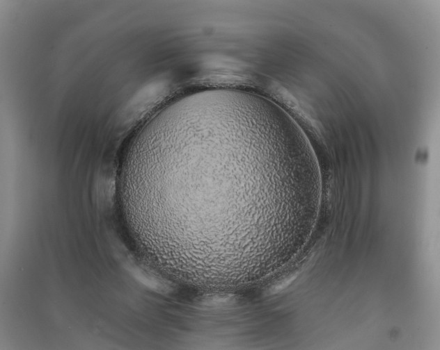 X0000091560206200708171332