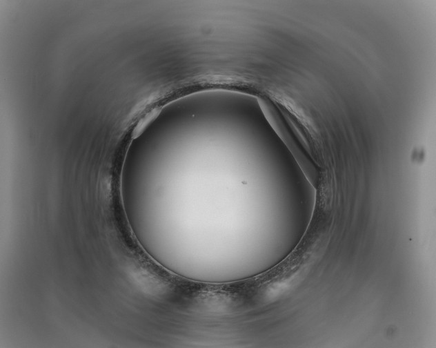 X0000091560207200708171332