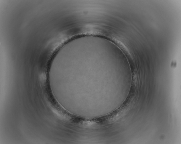 X0000091560208200708171332