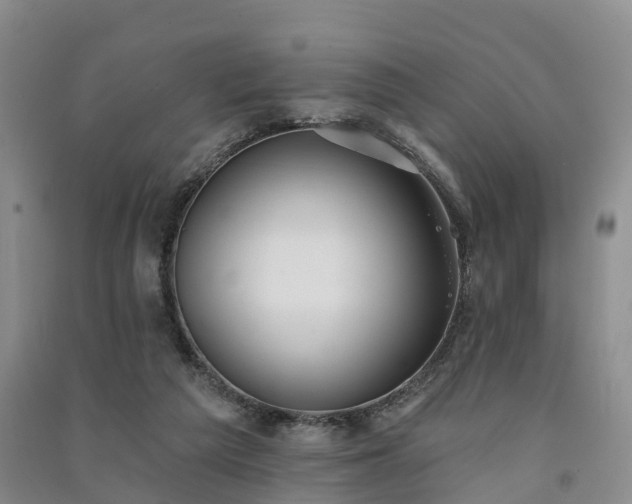 X0000091560209200708171332