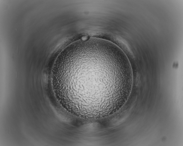 X0000091560210200708171332