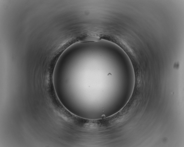 X0000091560211200708171332