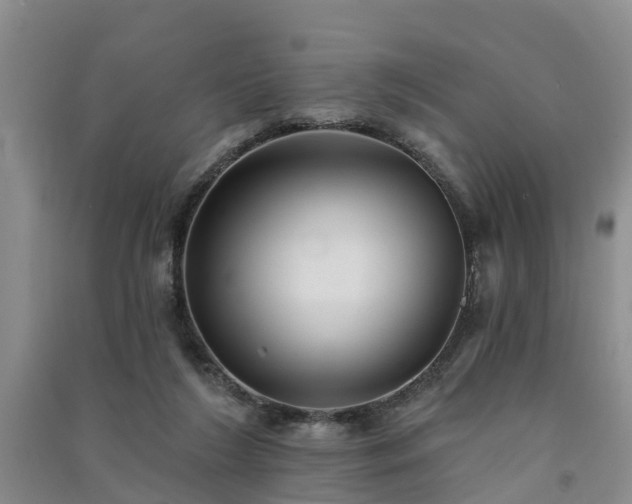 X0000091560212200708171332