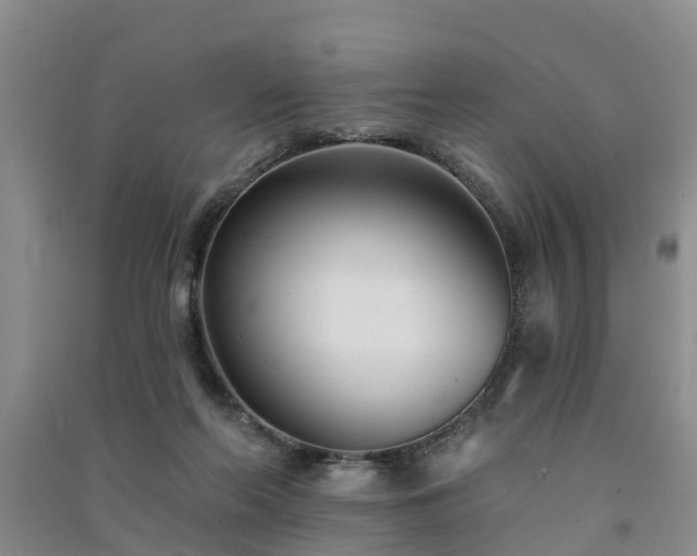 X0000091560214200708171332