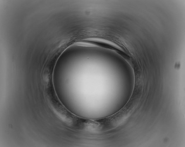 X0000091560215200708171332