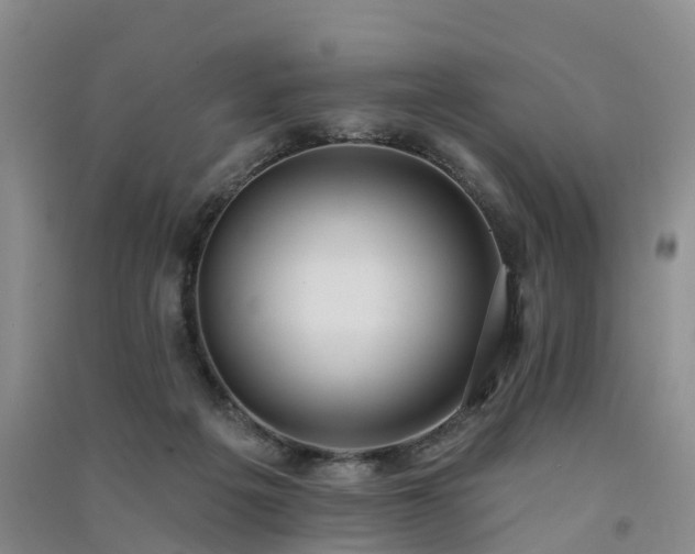 X0000091560217200708171332