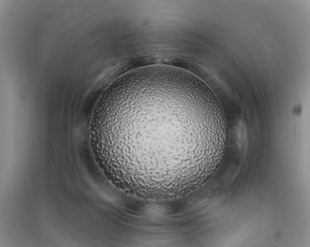 X0000091560218200708171332