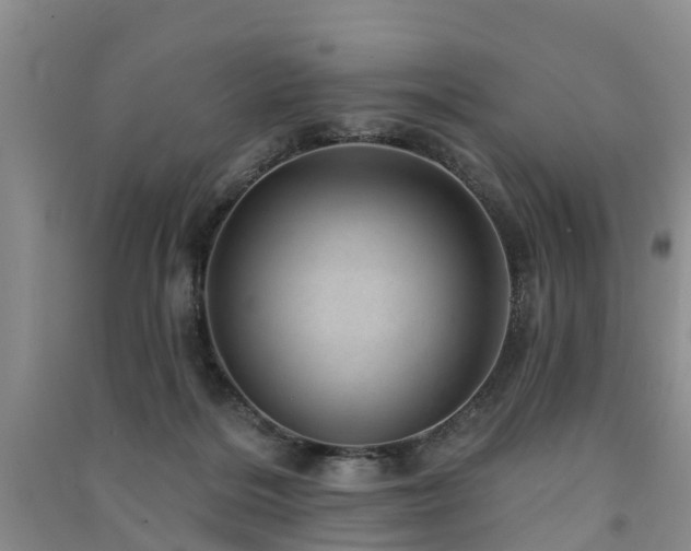 X0000091560220200708171332