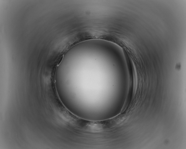 X0000091560221200708171332