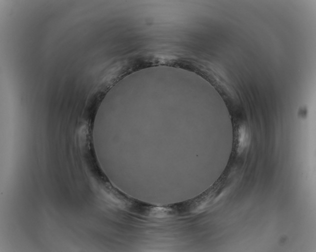 X0000091560222200708171332