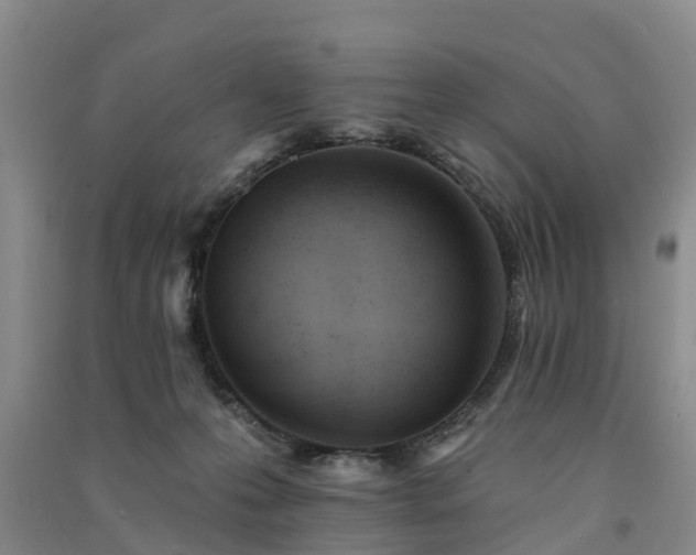 X0000091560223200708171332