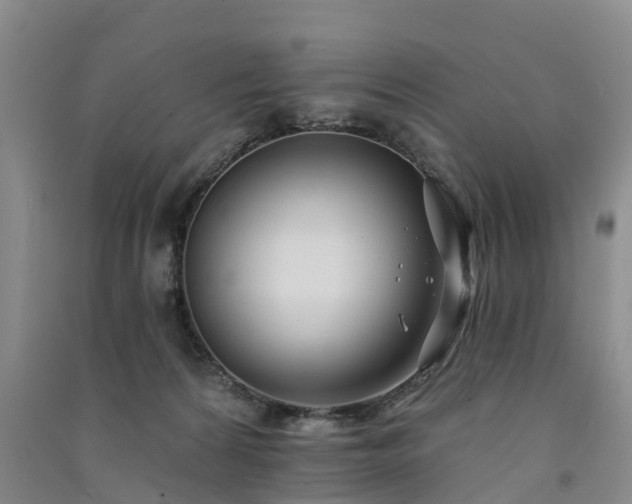 X0000091560224200708171332