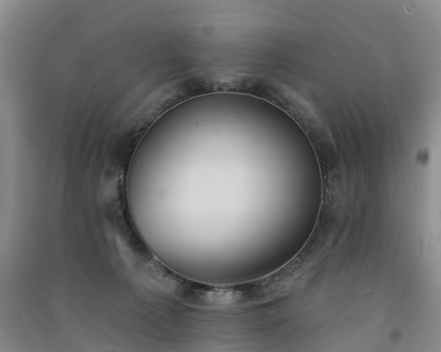 X0000091560225200708171332