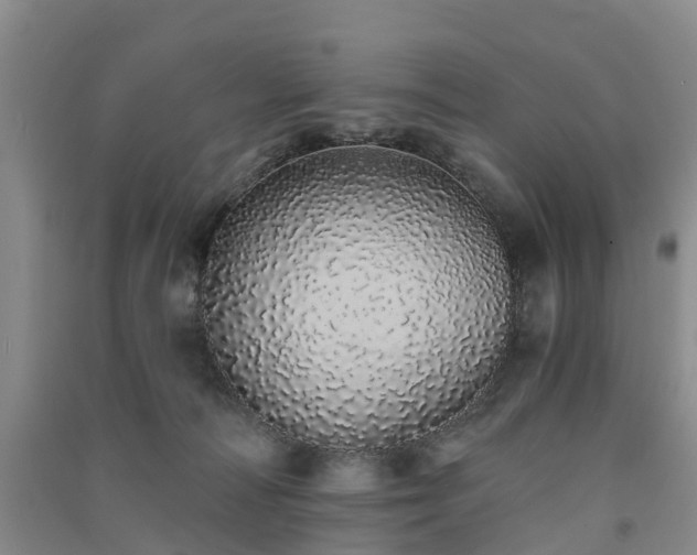 X0000091560226200708171332