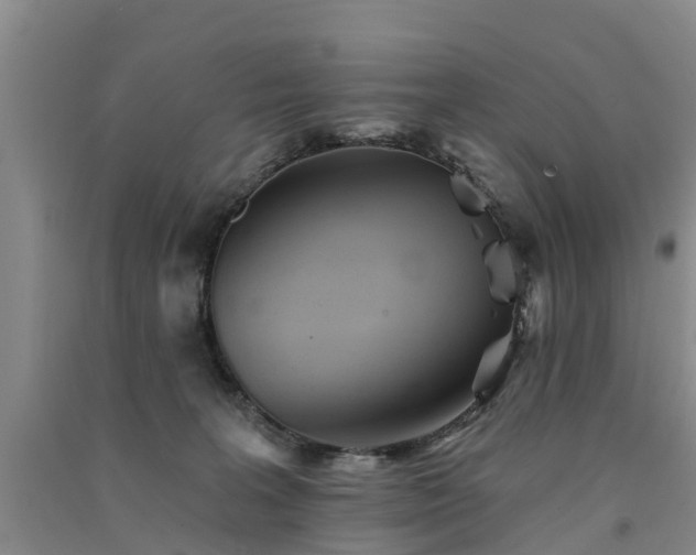 X0000091560227200708171332