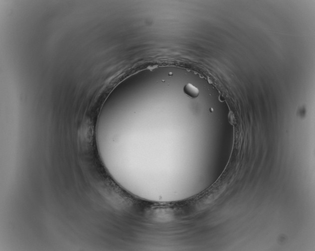 X0000091560228200708171332